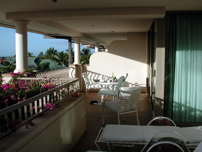 Our lanai.jpg 65.1K